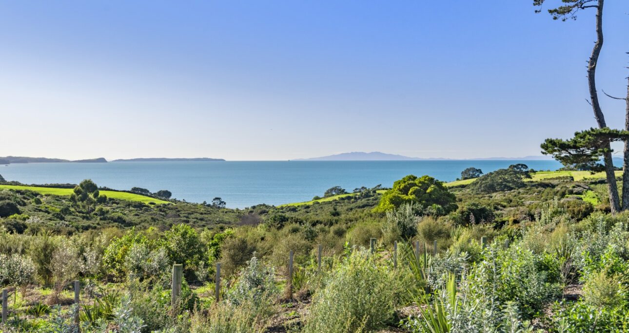 Piripiri Point – Long Bay