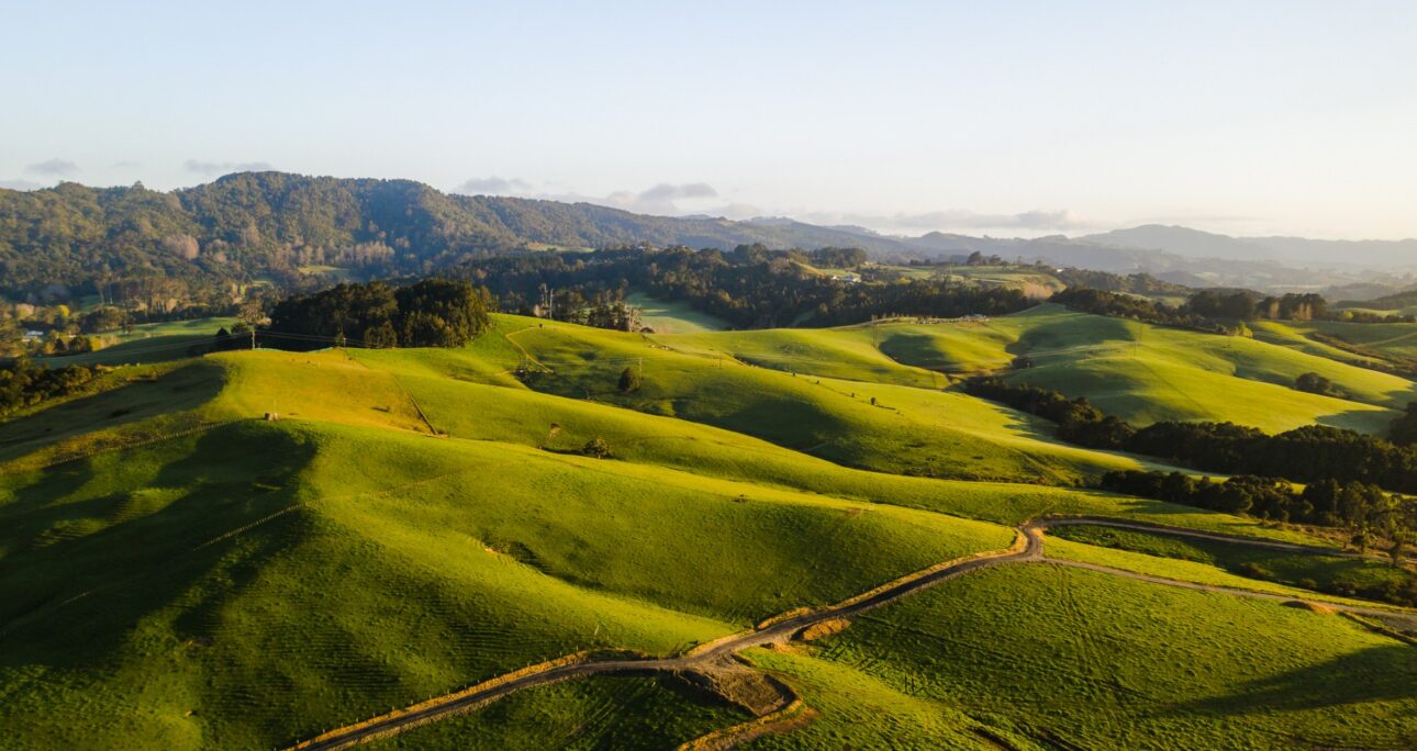 New Release: Warkworth Ridge