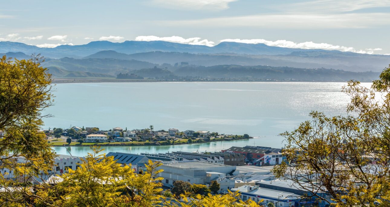 Incredible opportunities at Napier Hill