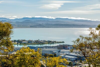 Incredible opportunities at Napier Hill